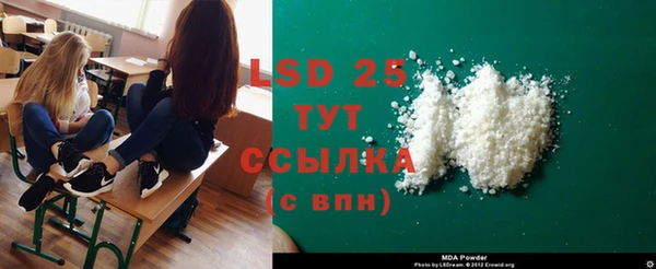 хмурый Новозыбков