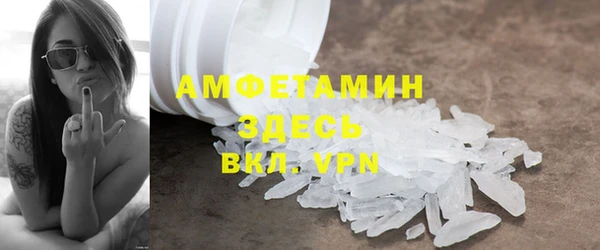 хмурый Новозыбков