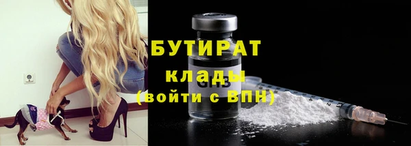 хмурый Новозыбков