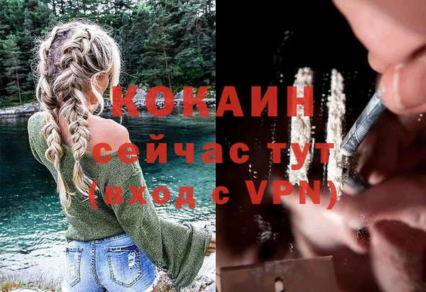 хмурый Новозыбков