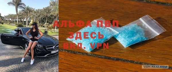 хмурый Новозыбков