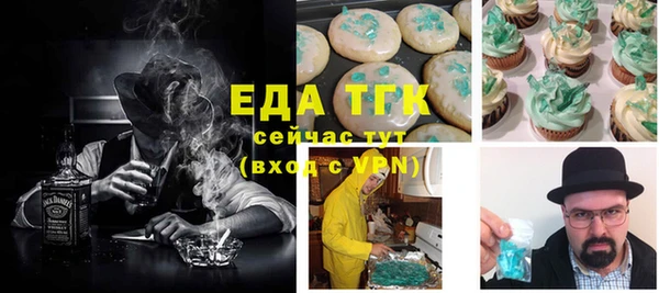 хмурый Новозыбков
