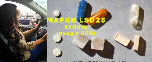 хмурый Новозыбков