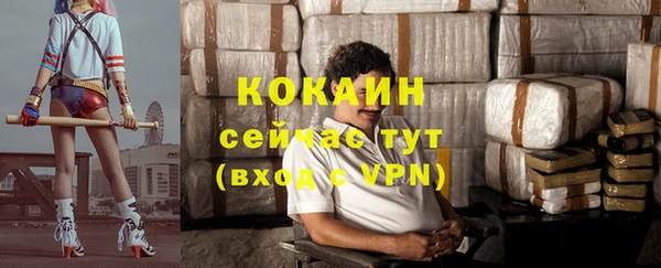 хмурый Новозыбков
