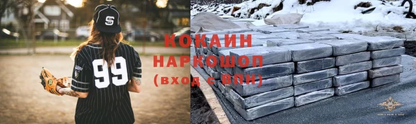 хмурый Новозыбков