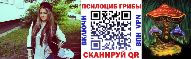 kraken зеркало Старая Купавна Галлюциногенные грибы мицелий